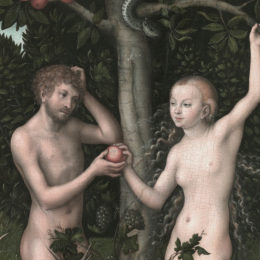 Sexualtherapie Sexualberatung