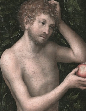 Sexualtherapie Sexualberatung Adam