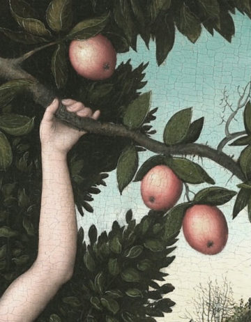 Sexualtherapie Sexualberatung Evas Arm