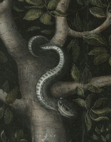 Sexualtherapie Sexualberatung Schlange