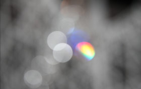 Danni Tantra Massage Bodywork London Berlin