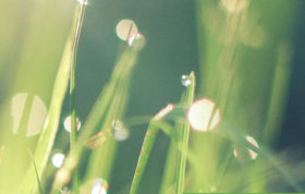 Joerg Tantra Rituale Wuppertal