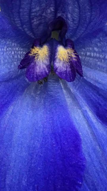 13096361 10154217773602318 8517962445514194523 N