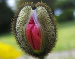 17634828 1357614694301580 2515741419614805547 N