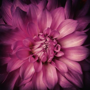 Namita Sex And Intimacy Coach San Francisco