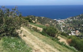 Bodywork Tantra Massage Plattform 5