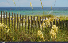 Photograph Of The Blue Green Gulf Of Mexico As Seen From A Dune Fence Dbxe98