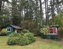 B62648 D7 1 C21 4106 A093 AFC80 B48943 A 1 105 c