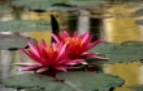 Birte-Nachtwey Sexocorporel Sexualtherapie Hamburg Header