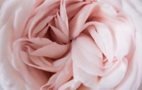 tantra massage sexological bodywork berlin koeln