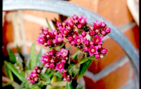 187 A1 EC5 9 E76 4 FCC 9 D7 B E46 C60 CB395 F