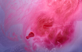 Adobe Stock 319769905