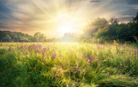 Tantra Massage München Munic