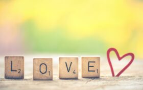 Pexels ylanite koppens 1209608