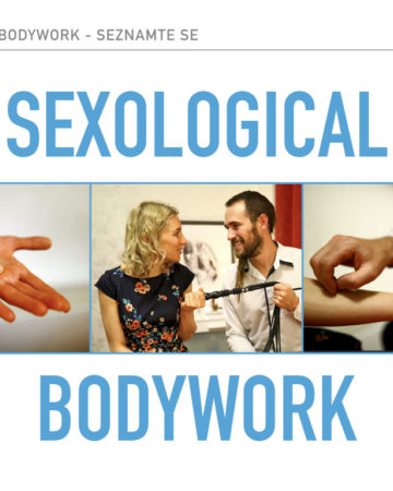 Amrp Prezentace Na Konferenci Kopie 004