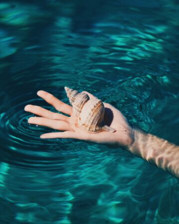 L8zdgj9m7w bild biel morro unsplash com