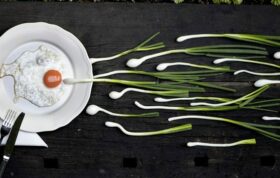 542854 380754858623222 117295261635851 1123968 1444131754 n