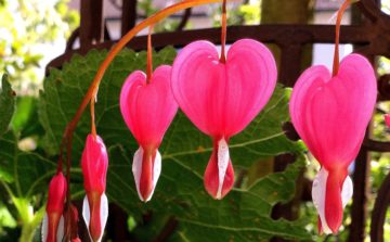 13102631 1254903101191366 4842250718231529693 N