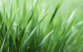 8844920475 De0B7E99B9 O