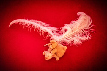 22 0429 1547 27s RGB